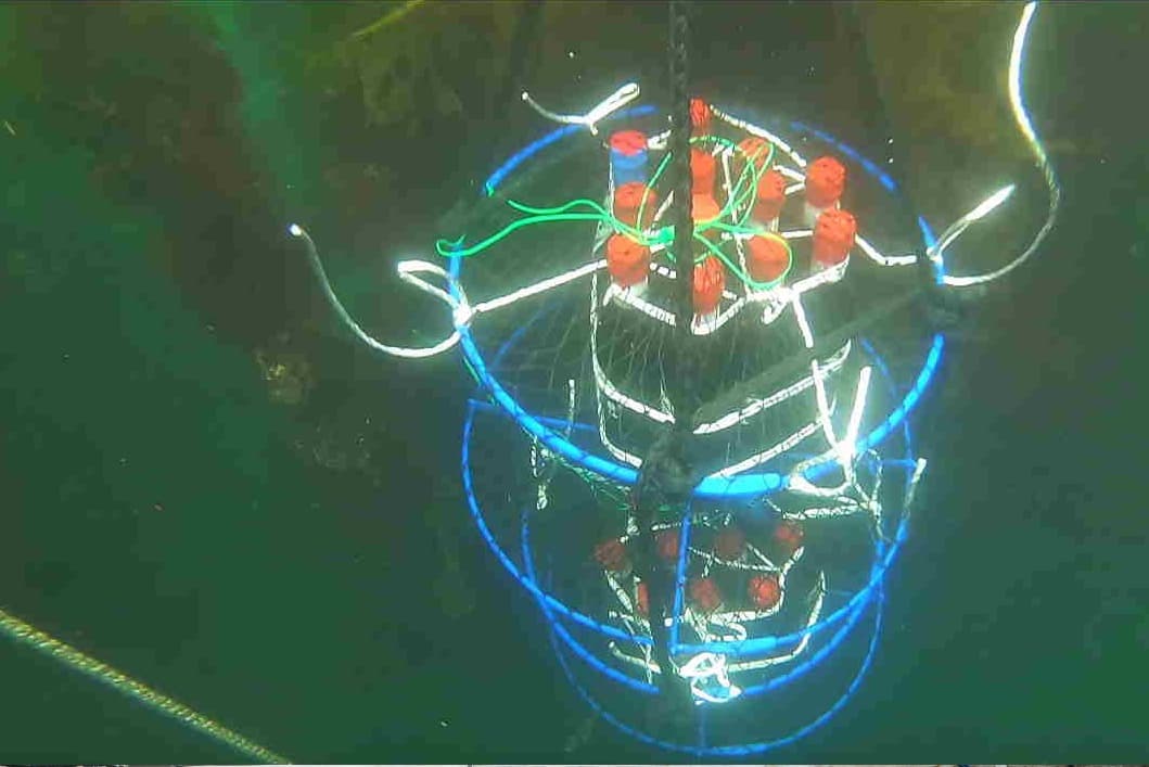 海中熟成体験